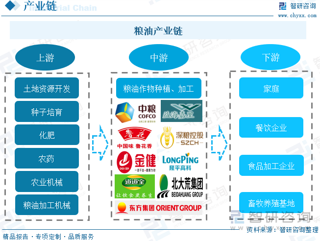 粮油产业链