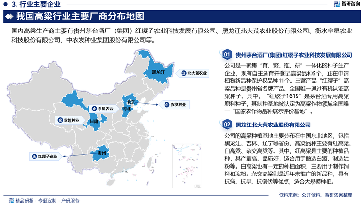 我國(guó)高粱種植行業(yè)的企業(yè)數(shù)量較多，但大多數(shù)企業(yè)規(guī)模較小，缺乏大型企業(yè)的領(lǐng)導(dǎo)和整合作用。同時(shí)，不同種類的高粱市場(chǎng)競(jìng)爭(zhēng)格局也存在差異，其中，釀造用高粱市場(chǎng)競(jìng)爭(zhēng)激烈，而帚用高粱和食用高粱等市場(chǎng)則相對(duì)分散。目前，國(guó)內(nèi)高粱行業(yè)參與企業(yè)包括貴州茅臺(tái)酒廠（集團(tuán)）紅纓子農(nóng)業(yè)科技發(fā)展有限公司、黑龍江北大荒農(nóng)業(yè)股份有限公司、衡水阜星農(nóng)業(yè)科技股份有限公司等。