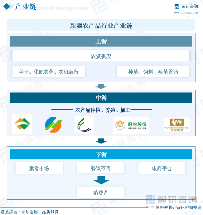 新疆农产品行业产业链