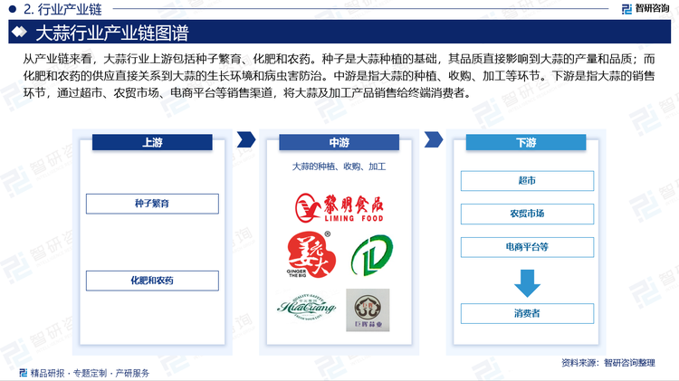 從產(chǎn)業(yè)鏈來(lái)看，大蒜行業(yè)上游包括種子繁育、化肥和農(nóng)藥。種子是大蒜種植的基礎(chǔ)，其品質(zhì)直接影響到大蒜的產(chǎn)量和品質(zhì)；而化肥和農(nóng)藥的供應(yīng)直接關(guān)系到大蒜的生長(zhǎng)環(huán)境和病蟲害防治。中游是指大蒜的種植、收購(gòu)、加工等環(huán)節(jié)。下游是指大蒜的銷售環(huán)節(jié)，通過(guò)超市、農(nóng)貿(mào)市場(chǎng)、電商平臺(tái)等銷售渠道，將大蒜及加工產(chǎn)品銷售給終端消費(fèi)者。
