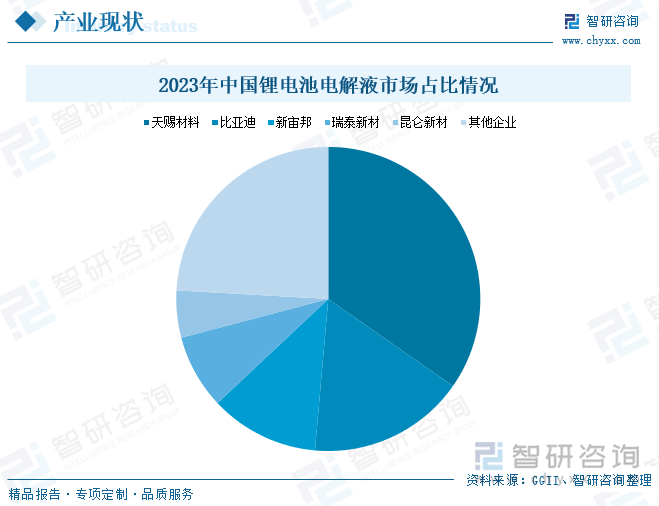 2023年中国锂电池电解液市场占比情况