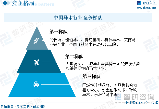 中国马术行业竞争梯队