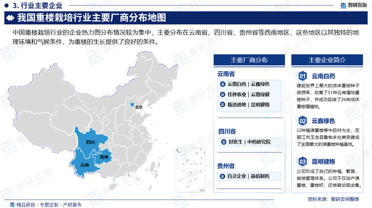 中国重楼栽培行业的企业热力图分布情况较为集中，主要分布在云南省、四川省、贵州省等西南地区，这些地区以其独特的地理环境和气候条件，为重楼的生长提供了良好的条件。