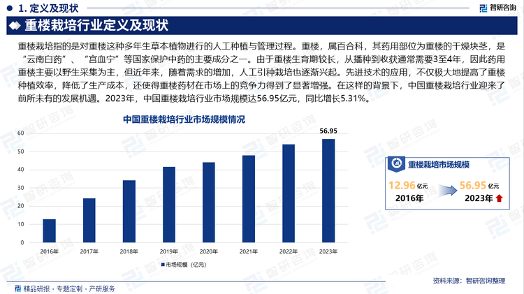 重楼，这一在中医药领域占据重要地位的中药材，凭借其清热解毒、消肿止痛等卓越功效，广泛应用于各类医疗和保健场景。随着中医药在全球范围内的不断推广，以及现代人对健康生活方式日益增长的追求，重楼的需求量呈现出持续且稳定的增长态势。然而，不容忽视的是，由于长期的过度采挖，重楼的野生资源正面临着前所未有的枯竭危机，这无疑给中医药产业和生态环境带来了双重挑战。为了应对这一严峻形势，现代栽培技术的革新与应用成为了解决之道。组织培养、无土栽培、温室种植等一系列高科技手段，不仅显著提升了重楼的产量，更在品质上实现了质的飞跃。这些先进技术的应用，不仅极大地提高了种植效率，降低了生产成本，还使得重楼药材在市场上的竞争力得到了显著增强。在这样的背景下，中国重楼栽培行业迎来了前所未有的发展机遇。2023年，中国重楼栽培行业市场规模达56.95亿元，同比增长5.31%。