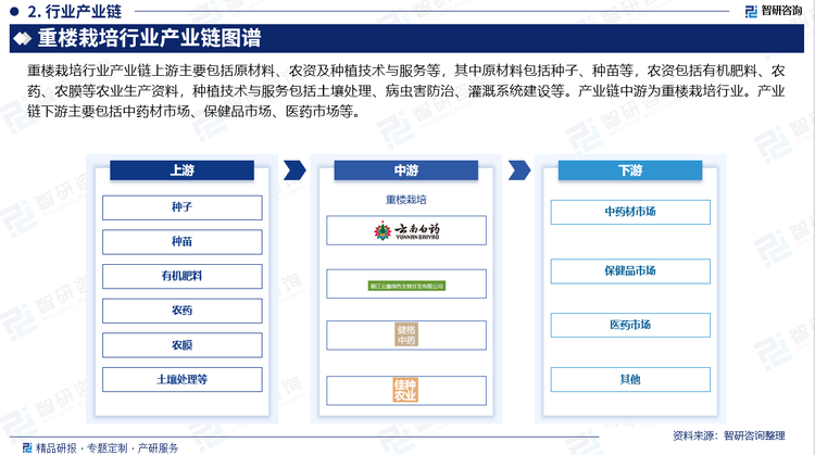 重楼栽培行业产业链上游主要包括原材料、农资及种植技术与服务等，其中原材料包括种子、种苗等，农资包括有机肥料、农药、农膜等农业生产资料，种植技术与服务包括土壤处理、病虫害防治、灌溉系统建设等。产业链中游为重楼栽培行业。产业链下游主要包括中药材市场、保健品市场、医药市场等。