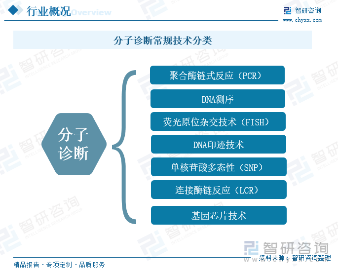 分子诊断常规技术分类