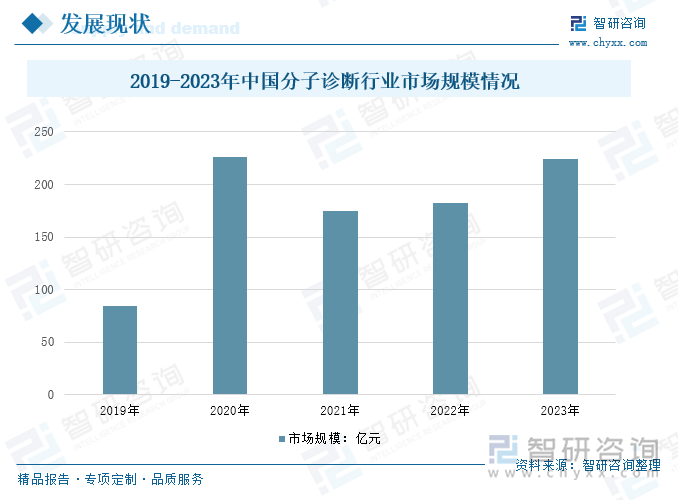 2019-2023年中国分子诊断行业市场规模情况