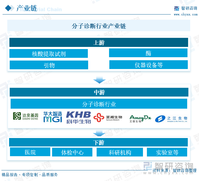 分子诊断行业产业链 