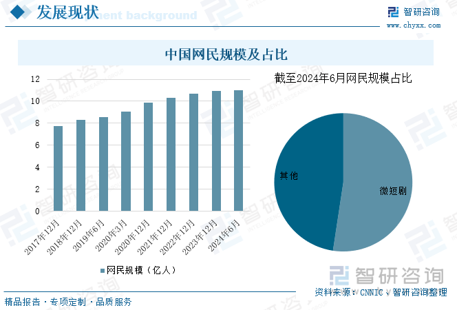 中国网民规模及占比