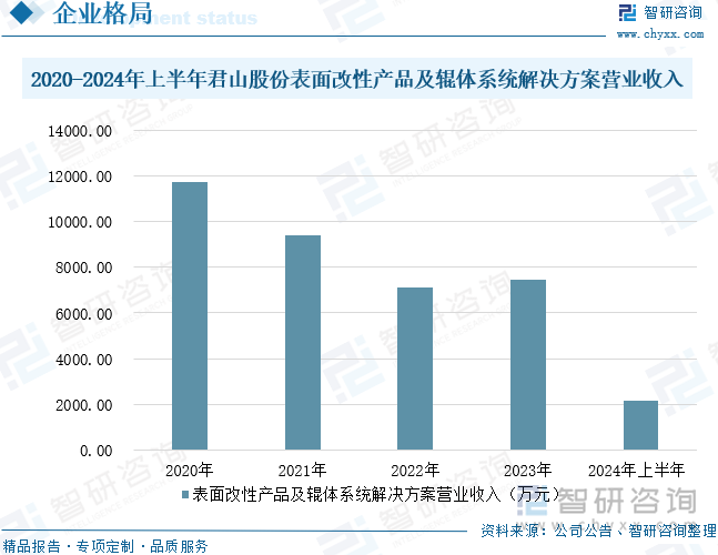 2020-2024年上半年君山股份表面改性产品及辊体系统解决方案营业收入