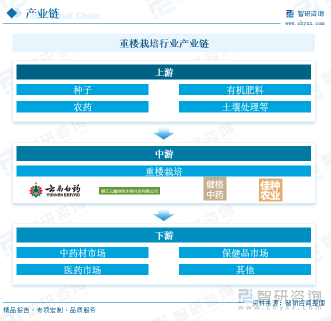 重楼栽培行业产业链