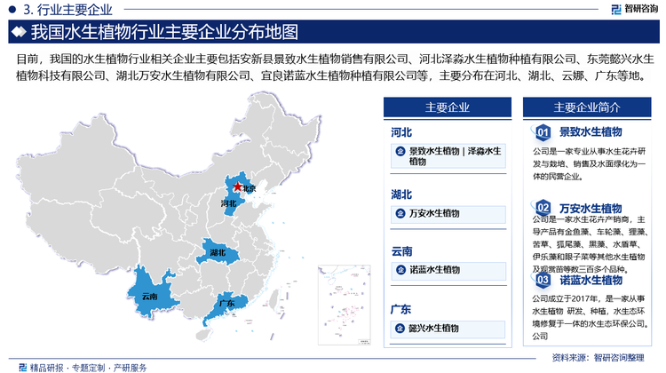 我国水生植物行业目前处于蓬勃发展阶段，行业整体集中度低，不同等级资质的企业、个体户众多，竞争非常激烈，呈现“大行业，小公司”的特点。同时日、韩、东南亚水生植物大集团陆续在中国投资建厂，这些跨国公司在技术、管理等方面具有一定的竞争力，国内企业不仅面临开拓国际市场的风险，同时也面临与这些国际先进同行争抢国内市场份额的风险。目前，行业内相关企业主要包括安新县景致水生植物销售有限公司、河北泽淼水生植物种植有限公司、东莞懿兴水生植物科技有限公司、湖北万安水生植物有限公司、宜良诺蓝水生植物种植有限公司等。