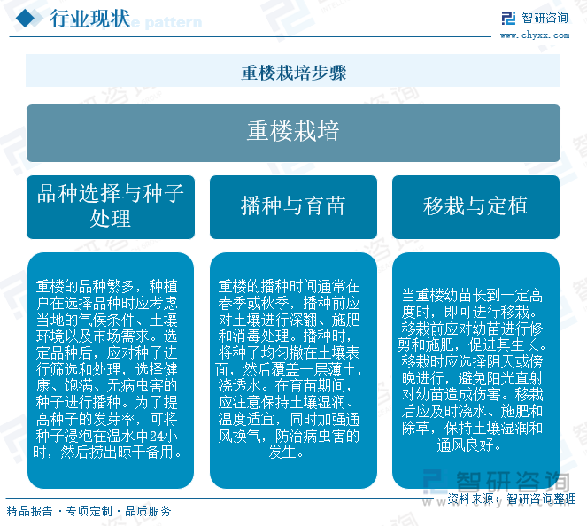 重楼栽培步骤