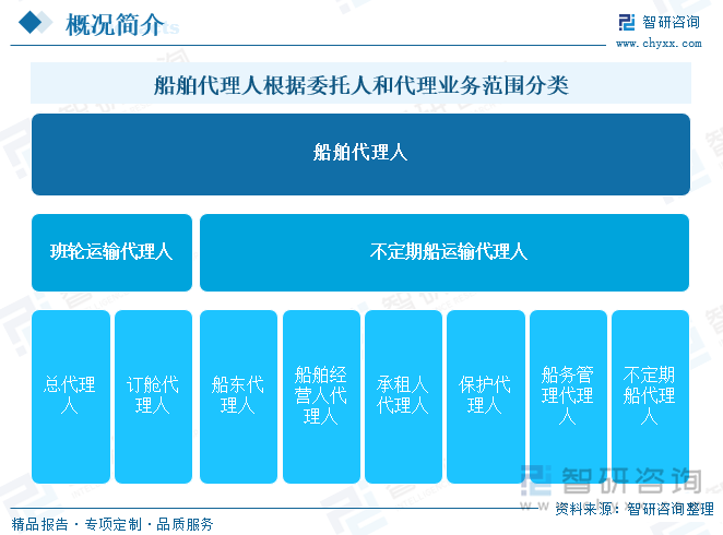 船舶代理人根据委托人和代理业务范围分类