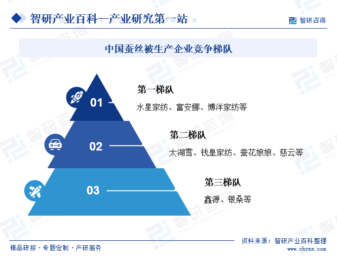 中国蚕丝被生产企业竞争梯队