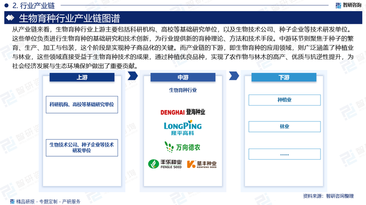 从产业链来看，生物育种行业上游主要包括科研机构、高校等基础研究单位，以及生物技术公司、种子企业等技术研发单位。这些单位负责进行生物育种的基础研究和技术创新，为行业提供新的育种理论、方法和技术手段。这些创新成果是生物育种产业链的核心，是推动行业发展的动力源泉。中游环节则聚焦于种子的繁育、生产、加工与包装，这个阶段是实现种子商品化的关键，通过标准化的操作流程与严格的质量控制，确保种子的优良品质与市场竞争力。而产业链的下游，即生物育种的应用领域，则广泛涵盖了种植业与林业，这些领域直接受益于生物育种技术的成果，通过种植优良品种，实现了农作物与林木的高产、优质与抗逆性提升，为社会经济发展与生态环境保护做出了重要贡献。