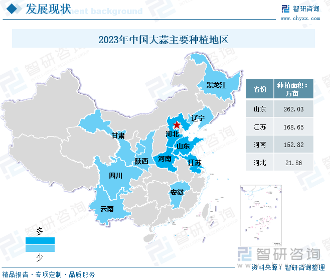 2023年中国大蒜主要种植地区