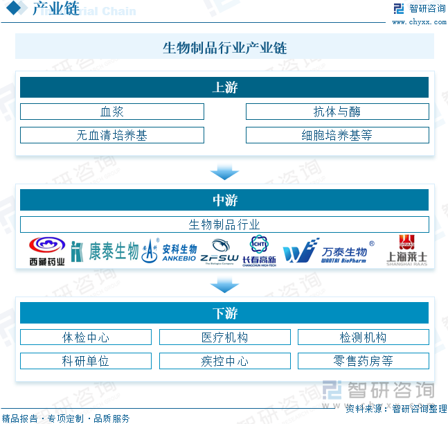 生物制品行业产业链