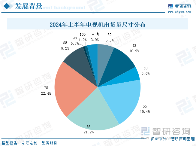 2024年上半年电视机出货量尺寸分布