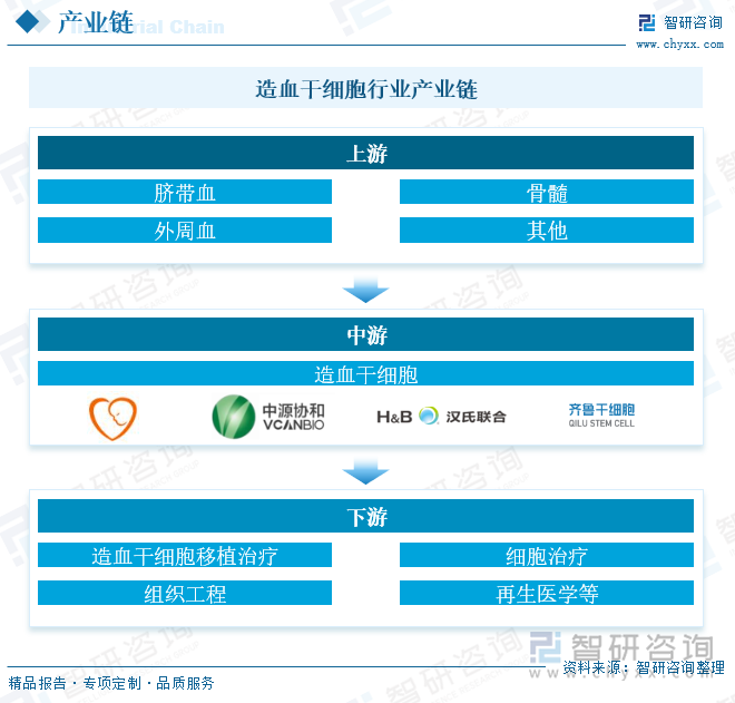 造血干细胞行业产业链