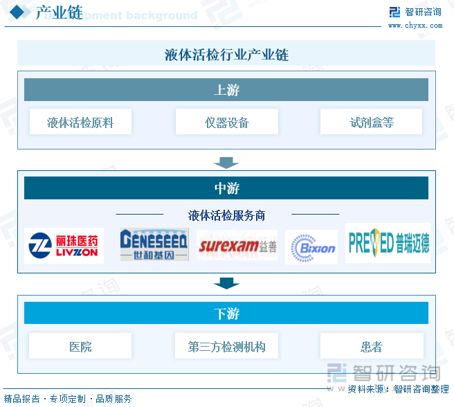 液体活检行业产业链