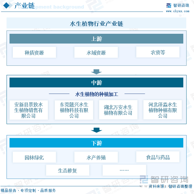 水生植物行业产业链