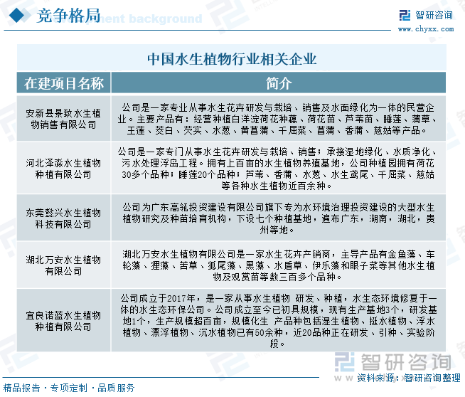 中国水生植物行业相关企业