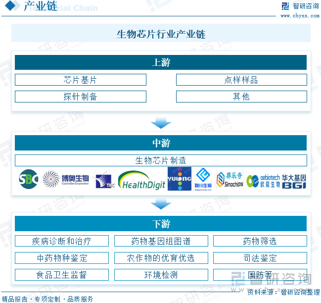 生物芯片行业产业链