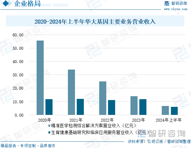 2020-2024年上半年华大基因主要业务营业收入