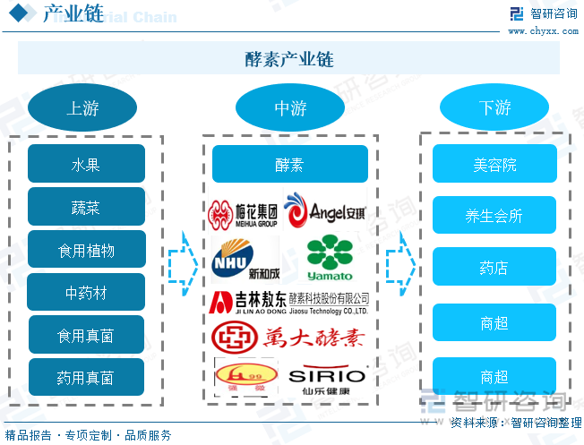 酵素产业链