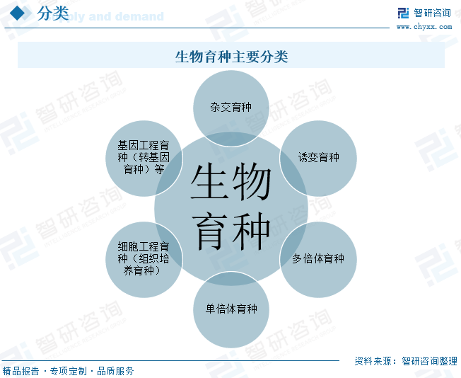 生物育种主要分类