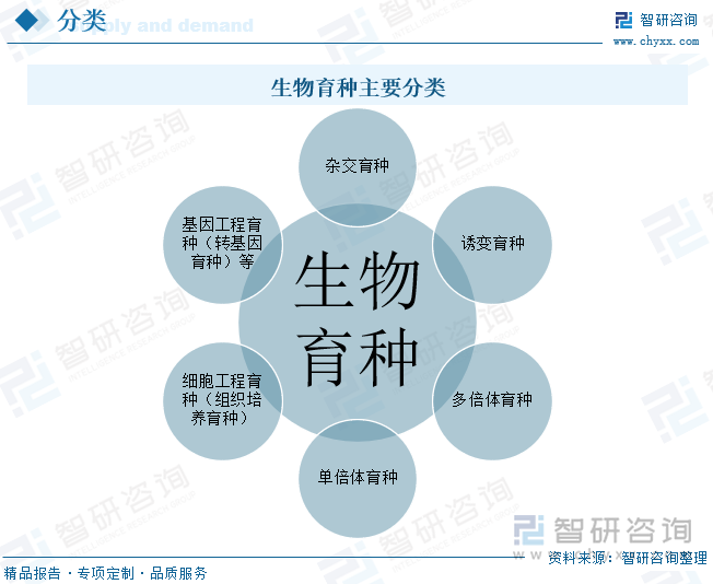 生物育种主要分类