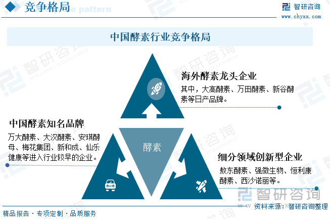 中国酵素行业竞争格局