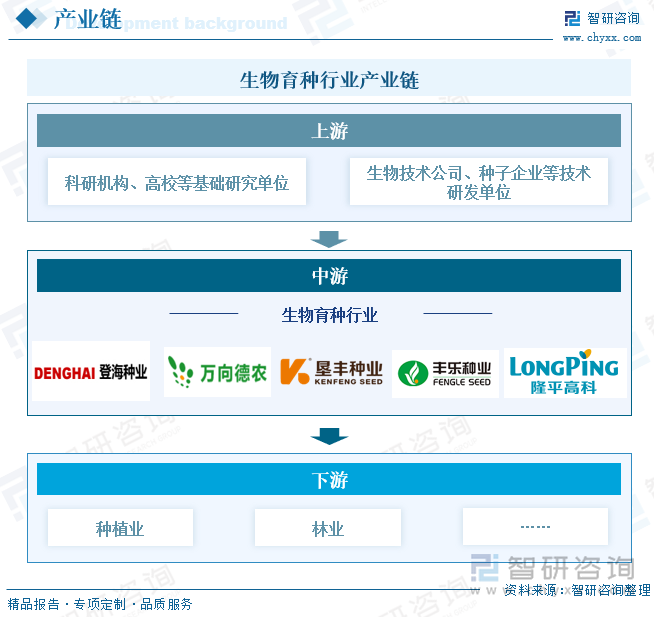 生物育种行业产业链