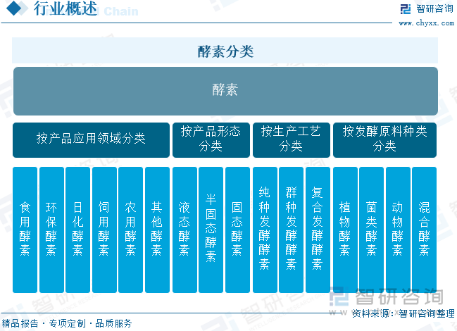 酵素分类