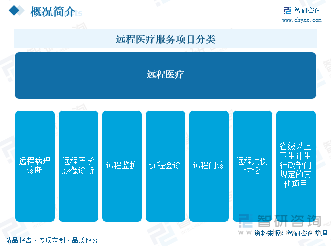 远程医疗服务项目分类