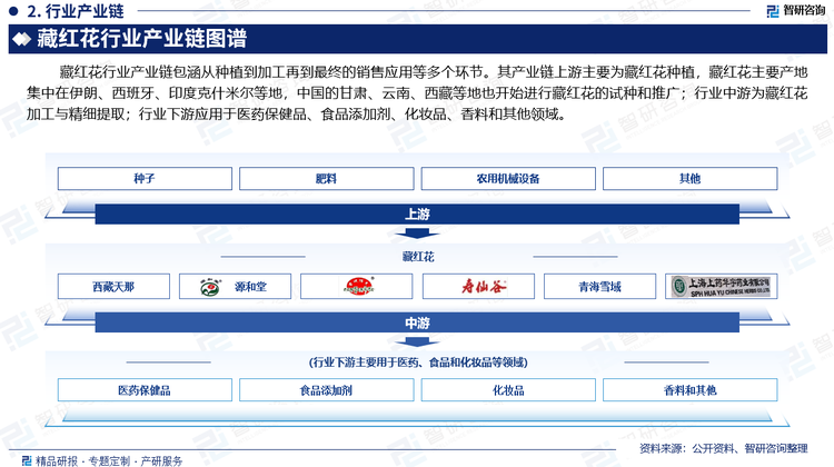 藏红花行业产业链包涵从种植到加工再到最终的销售应用等多个环节。其产业链上游主要为藏红花种植，藏红花主要产地集中在伊朗、西班牙、印度克什米尔等地，中国的甘肃、云南、西藏等地也开始进行藏红花的试种和推广；行业中游为藏红花加工与精细提取；行业下游应用于医药保健品、食品添加剂、化妆品、香料和其他领域。