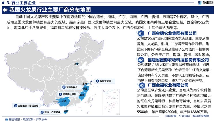 目前中国火龙果产区主要集中在南方热区的中国台湾省、福建、广东、海南、广西、贵州、云南等7个省区。其中，广西成为全国火龙果种植面积最大的区域，而南宁是广西火龙果种植面积最大区域。我国火龙果种植企业包括广西金穗农业集团有限公司、海南北纬十八度果业有限公司、福建省星源农牧科技股份有限公司、浙江大博金农业开发有限公司、广西金福农业有限公司、上海合庆火龙果产业股份有限公司等。