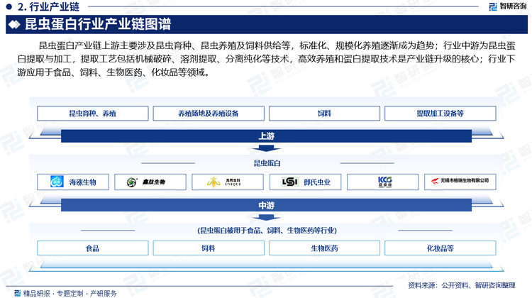 昆虫蛋白产业链上游主要涉及昆虫育种、昆虫养殖及饲料供给等，标准化、规模化养殖逐渐成为趋势；行业中游为昆虫蛋白提取与加工，提取工艺包括机械破碎、溶剂提取、分离纯化等技术，高效养殖和蛋白提取技术是产业链升级的核心；行业下游应用于食品、饲料、生物医药、化妆品等领域。