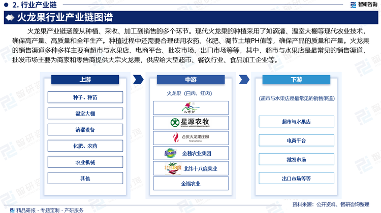 火龙果产业链涵盖从种植、采收、加工到销售的多个环节。现代火龙果的种植采用了如滴灌、温室大棚等现代农业技术，确保高产量、高质量和全年生产。种植过程中还需要合理使用农药、化肥、调节土壤PH值等，确保产品的质量和产量。火龙果的销售渠道多种多样主要有超市与水果店、电商平台、批发市场、出口市场等等，其中，超市与水果店是最常见的销售渠道，批发市场主要为商家和零售商提供大宗火龙果，供应给大型超市、餐饮行业、食品加工企业等。