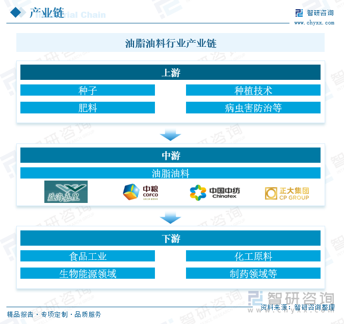 油脂油料行业产业链