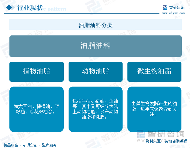 油脂油料分类