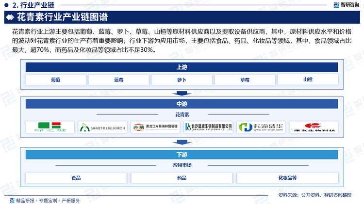 花青素行業(yè)上游主要包括葡萄、藍(lán)莓、蘿卜、草莓、山楂等原材料供應(yīng)商以及提取設(shè)備供應(yīng)商，其中，原材料供應(yīng)水平和價(jià)格的波動(dòng)對(duì)花青素行業(yè)的生產(chǎn)有著重要影響；行業(yè)下游為應(yīng)用市場(chǎng)，主要包括食品、藥品、化妝品等領(lǐng)域，其中，食品領(lǐng)域占比最大，超70%，而藥品及化妝品等領(lǐng)域占比不足30%。