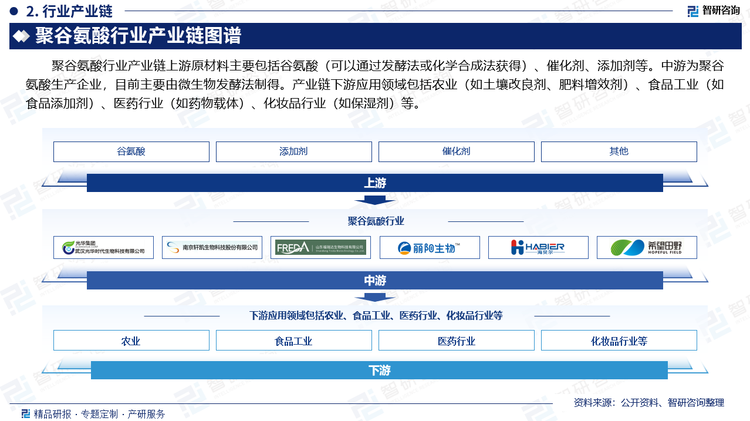 聚谷氨酸行业产业链上游原材料主要包括谷氨酸（可以通过发酵法或化学合成法获得）、催化剂、添加剂等。中游为聚谷氨酸生产企业，目前主要由微生物发酵法制得。产业链下游应用领域包括农业（如土壤改良剂、肥料增效剂）、食品工业（如食品添加剂）、医药行业（如药物载体）、化妆品行业（如保湿剂）等。