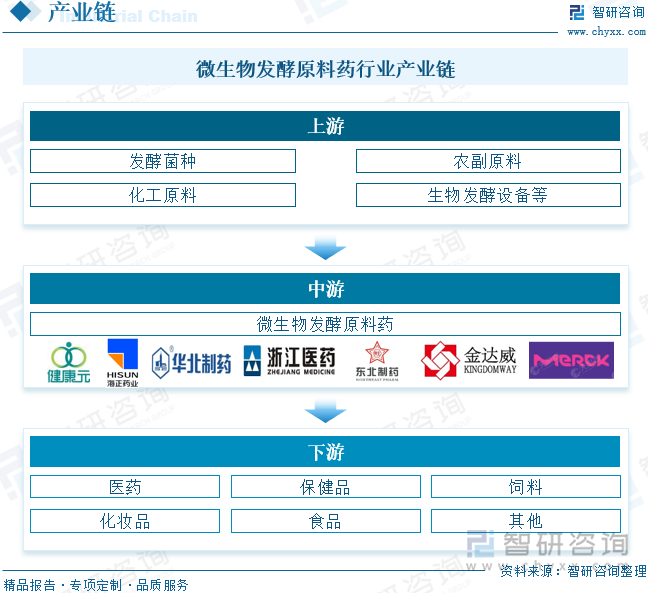 微生物发酵原料药行业产业链