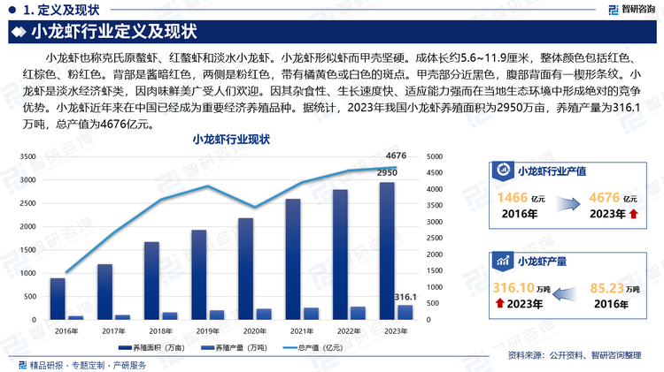 小龙虾也称克氏原螯虾、红螯虾和淡水小龙虾。小龙虾形似虾而甲壳坚硬。成体长约5.6~11.9厘米，整体颜色包括红色、红棕色、粉红色。背部是酱暗红色，两侧是粉红色，带有橘黄色或白色的斑点。甲壳部分近黑色，腹部背面有一楔形条纹。小龙虾是淡水经济虾类，因肉味鲜美广受人们欢迎。因其杂食性、生长速度快、适应能力强而在当地生态环境中形成绝对的竞争优势。小龙虾近年来在中国已经成为重要经济养殖品种。据统计，2023年我国小龙虾养殖面积为2950万亩，养殖产量为316.1万吨，总产值为4676亿元。