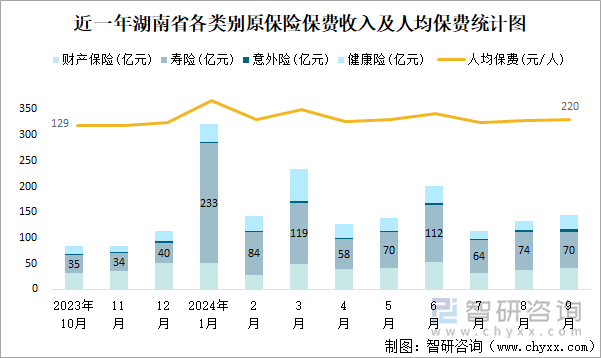 近一年湖南省各类别原保险保费收入及人均保费统计图