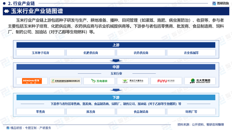 玉米行业产业链上游包括种子研发与生产、耕地准备、播种、田间管理（如灌溉、施肥、病虫害防治）、收获等，参与者主要包括玉米种子培育、化肥供应商、农药供应商与农业机械提供商等。下游参与者包括零售商、批发商、食品制造商、饲料厂、制药公司、加油站（对于乙醇等生物燃料）等。