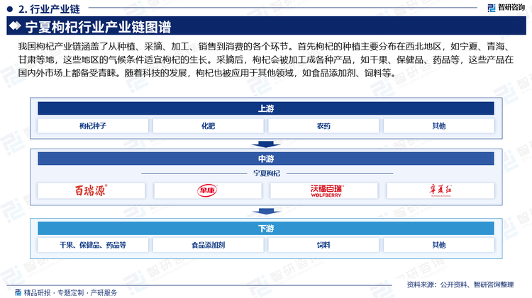 我国枸杞产业链涵盖了从种植、采摘、加工、销售到消费的各个环节。首先枸杞的种植主要分布在西北地区，如宁夏、青海、甘肃等地，这些地区的气候条件适宜枸杞的生长。采摘后，枸杞会被加工成各种产品，如干果、保健品、药品等，这些产品在国内外市场上都备受青睐。随着科技的发展，枸杞也被应用于其他领域，如食品添加剂、饲料等。