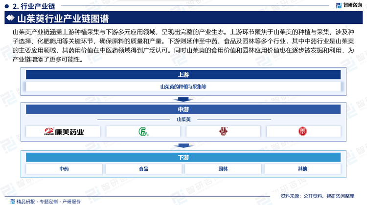 山茱萸产业链涵盖上游种植采集与下游多元应用领域，呈现出完整的产业生态。上游环节聚焦于山茱萸的种植与采集，涉及种子选择、化肥施用等关键环节，确保原料的质量和产量。下游则延伸至中药、食品及园林等多个行业，其中中药行业是山茱萸的主要应用领域，其药用价值在中医药领域得到广泛认可。同时山茱萸的食用价值和园林应用价值也在逐步被发掘和利用，为产业链增添了更多可能性。